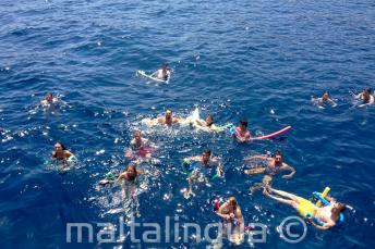 Velká skupina studentů plave společně v moři